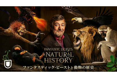 『ファンタビ』魔法動物の裏側に迫るドキュメンタリーU-NEXT配信 画像