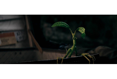 ニュートの相棒ピケットら魔法動物たちが大活躍『ファンタビ』本編映像 画像