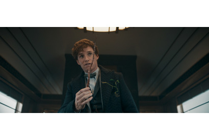 ダンブルドアの秘密描く『ファンタビ』最新作、週末興収10億円超えのメガヒットスタート 画像