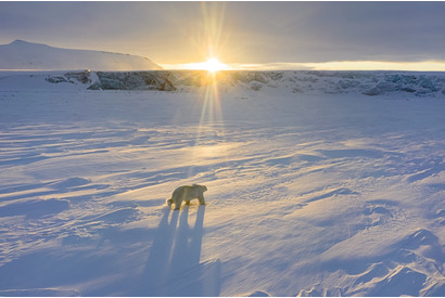 あらゆる垣根を越えて、たった1つの地球を知る「アースデイ」…ディズニープラスで“地球探求”の旅へ 画像