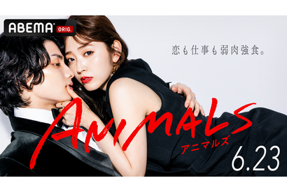 “連ドラ初主演”鈴木愛理、本田響矢＆白洲迅共演で恋と仕事に奮闘…ABEMAドラマ「ANIMALS」 画像