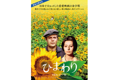 ウクライナで撮影『ひまわり』、7月14日“ひまわりの日”にチャリティー上映会開催 画像