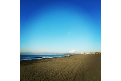 【MOVIEブログ】『陽だまりの彼女』撮影、クライマックス！ 画像