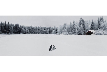 記憶と想像の境界線に広がるあるストーリー　写真家Richの新作展を渋谷で開催 画像