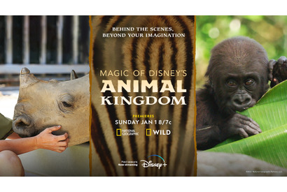 海の生き物やゾウ…動物の世界を覗く3作品、Disney+で配信 画像