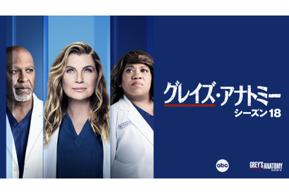 感涙回想シーン必見！「グレイズ・アナトミー」S18一挙デジタル配信　5月10日から 画像