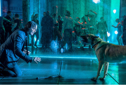 『ジョン・ウィック：コンセクエンス』公開日が9月22日に決定　愛犬の日特別映像も解禁 画像