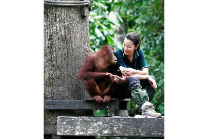 ミシェル・ヨーがオランウータンと触れ合うドキュメンタリーほか3作品放送 画像