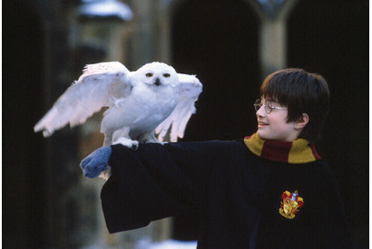 『ハリー・ポッターと賢者の石』が4D劇場、ドルビーシネマにて上映決定 7月7日より 画像