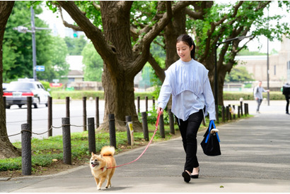 山田涼介“東郷”に新たな婚約者登場「約束されたハッピーエンドはどこ」の声TLに溢れる…「王様に捧ぐ薬指」9話 画像