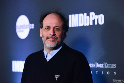 ルカ・グァダニーノ監督『Challengers』がヴェネチア国際映画祭プレミア上映を取り下げ 画像