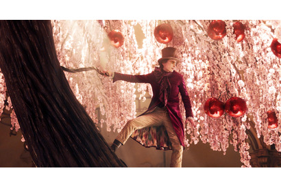 魔法きらめく世界に心躍る『ウォンカとチョコレート工場のはじまり』新映像入り特別映像 画像