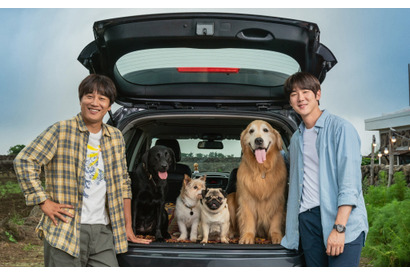 ユ・ヨンソク＆チャ・テヒョン、可愛いワンコに癒される『マイ・ハート・パピー』特別予告映像 画像