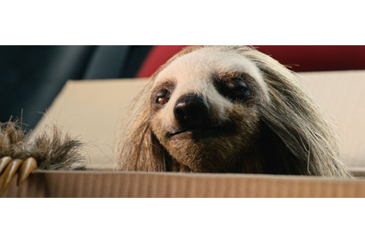 ナマケモノがSNSをチェック？『キラー・ナマケモノ』本編映像 監督インタビューも到着 画像