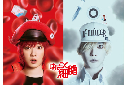 永野芽郁＆佐藤健、実写『はたらく細胞』キャラクタービジュアル＆超特報公開 画像
