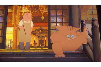 森山未來が毛繕い!? “化け猫”を体現する『化け猫あんずちゃん』比較動画 画像