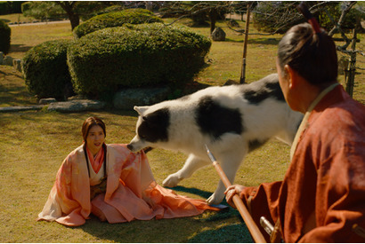 内野聖陽＆磯村勇斗＆土屋太鳳らの姿も『八犬伝』迫力溢れる場面写真 画像