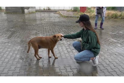 侵攻から3年…ドキュメンタリー『犬と戦争 ウクライナで私が見たこと』公開　 画像