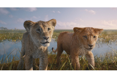 ムファサ＆タカが大ピンチ！冷酷な敵ライオンと対峙『ライオン・キング：ムファサ』本編映像 画像