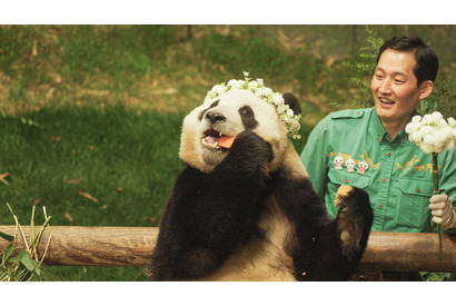 花冠をつけたフーバオと優しい視線で見つめる飼育員に癒される！『私の親愛なるフーバオ』 画像