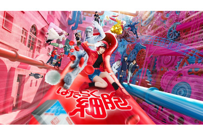 実写『はたらく細胞』デジタル販売開始＆Blu-ray・DVD5月発売 画像