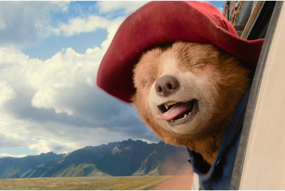涙と大冒険！『パディントン 消えた黄金郷の秘密』シリーズ最新作の魅力に迫る 画像
