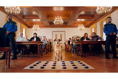 ボタンを使って“被告犬”が証言？『犬の裁判』本編映像 画像