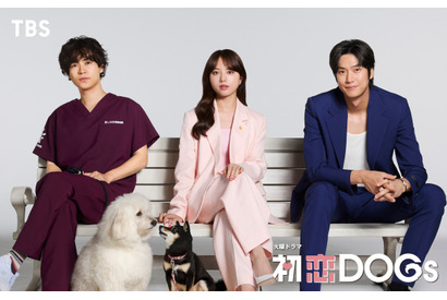 ナ・イヌ、余裕の表情だが…？ 清原果耶＆成田凌とゲームに挑戦「初恋DOGs」 画像