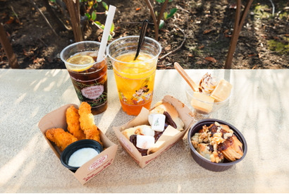 【ディズニー】TDR初、オフィシャルスポンサー協賛SPメニュー6種類を実食「東京ディズニーシー・フード＆ワイン・フェスティバル」 画像