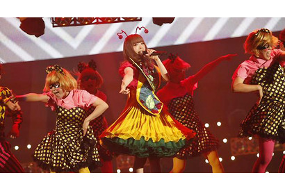 【VMAJ 2013】きゃりーぱみゅぱみゅ＆「ONE OK ROCK」2冠達成！ 画像