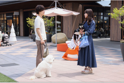犬たちの“名演技”に絶賛集まる…「柔らかいキャラ」の成田凌も話題に「初恋DOGs」第1話 画像