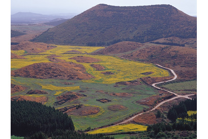 「ロケ地名所」済州島の景観を代表するオルムとは何か 画像