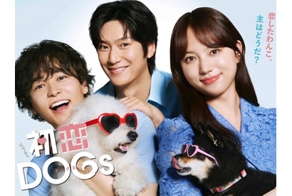 ナ・イヌ主演『初恋DOGs』でワンコにハマった人へ…犬が名脇役として輝く韓国ドラマ3選！ 画像