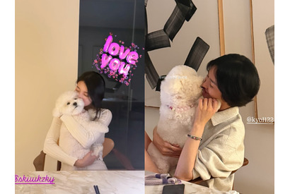 「待ってました！」“13歳差” ペ・スジ、ソン・ヘギョが愛犬を抱っこして至福のひととき【PHOTO】 画像