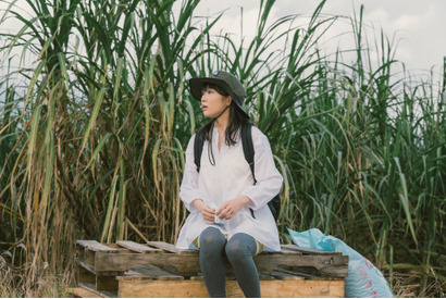 伊藤沙莉主演『風のマジム』広大なサトウキビ畑で迷子に!? 本編映像到着 画像