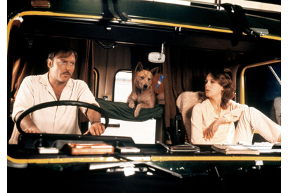 45年を経て日本初公開 リチャード・フランクリン監督作『ロードゲーム』10月31日より公開 画像