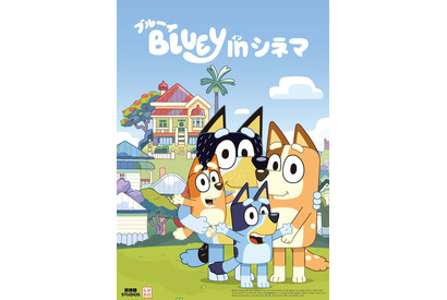 「ブルーイ in シネマ」10月10日より追加上映決定！イベントチケット即完売の人気アニメ 画像