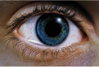 「心が砕ける」「落ち込む映画」第1位、トラウマ級の傑作『レクイエム・フォー・ドリーム』4Kリマスター版公開 画像