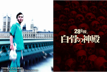 『28年後… 白骨の神殿』キリアン・マーフィー24年ぶりシリーズ復帰「戻ってこられたことを本当に誇りに思っています」 画像