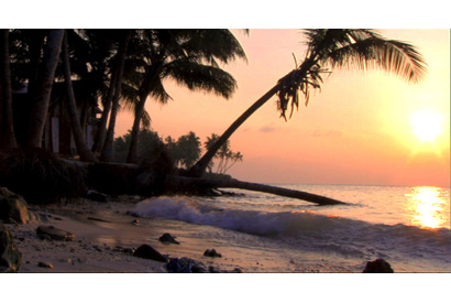 レディオヘッドが協力、“水没する楽園”モルディブの危機に立ち向かう 画像