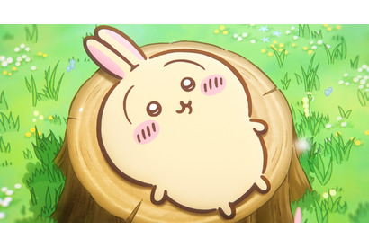 「ちいかわ」たちの冒険がはじまる！『映画ちいかわ 人魚の島のひみつ』7月24日公開決定 特報映像解禁 画像