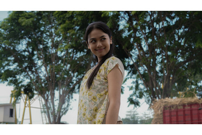 大量の束のサトウキビが迫りくる…『サトウキビは知っている』本編映像＆アザービジュアル 画像