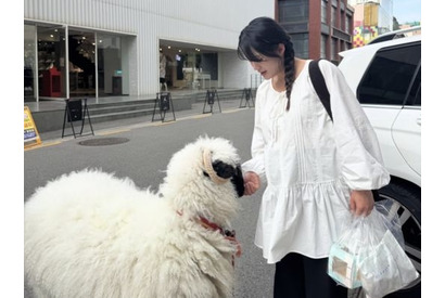 6月に出産予定の『太陽を抱く月』女優ナム・ボラ、道で出会った羊との2ショットを公開【PHOTO】 画像