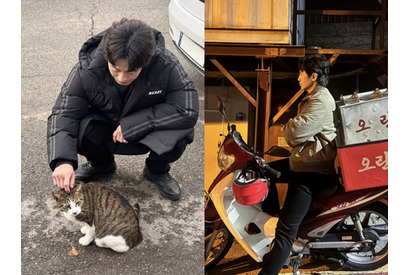 シン・ハギュン×野良猫、“猫×猫の無害な癒やしのツーショット”で心が洗われる【PHOTO】 画像