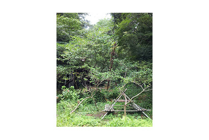 【MOVIE BLOG】夏休み 画像