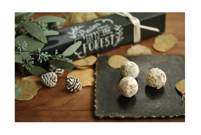 和菓子店「HIGASHIYA（ヒガシヤ）」とGREEN FINGERSがコラボ 画像