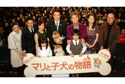 「マリに勇気をもらった」実話に基づく感動ストーリー『マリと子犬の物語』舞台挨拶 画像