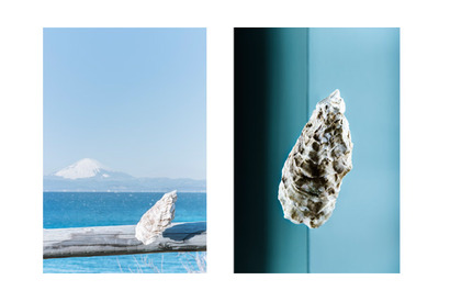 目で見て、食べて味わう写真展「カキ展」、葉山LA MAREE DE CHAYAにて開催 画像