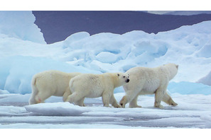 梅雨のジメジメを忘れる映画 vol.2　真っ白な氷の惑星、『ホワイト・プラネット』へ 画像