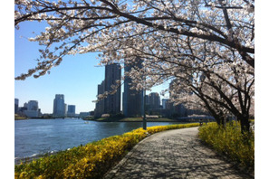 【MOVIEブログ】つれづれ日記 画像